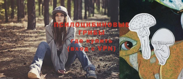 ешки Абаза