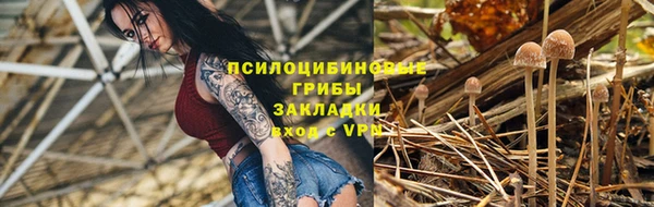 МДПВ Алзамай
