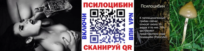 магазин продажи Кадников ОМГ ОМГ ссылки Псилоцибиновые грибы мухоморы