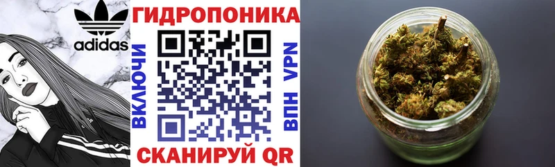 Бошки марихуана гибрид Кадников